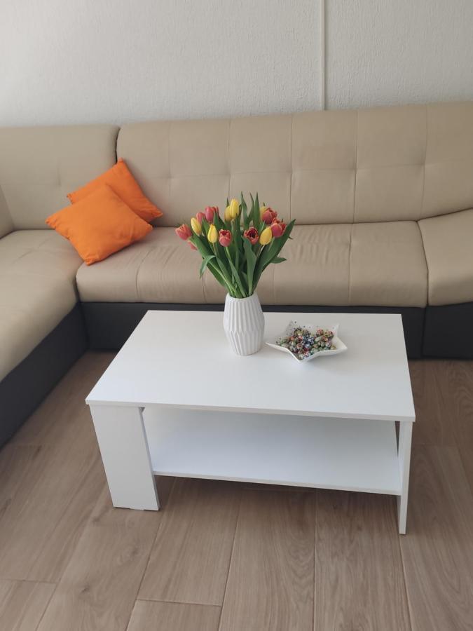 Apartment Premantura Eksteriør billede